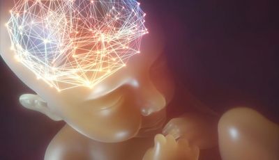 Mapeamento Cortical por Estimulação Magnética Transcraniana (TMS)